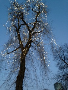 Boston Common Winter Lights